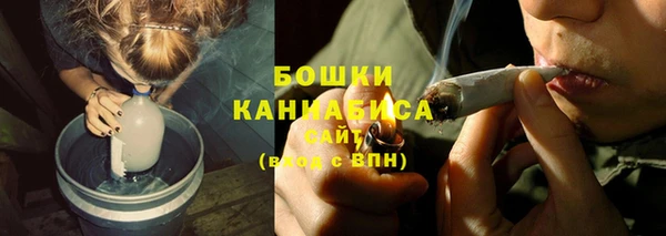 спайс Арсеньев