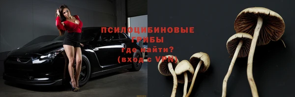 спайс Арсеньев