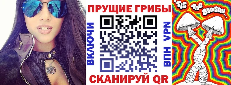kraken рабочий сайт  Озёры  Галлюциногенные грибы Psilocybe 