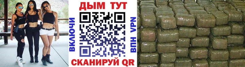 Каннабис Amnesia  hydra   Озёры 